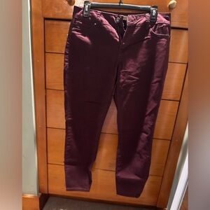 Purple pant